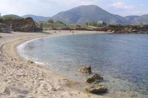 Ampelakia