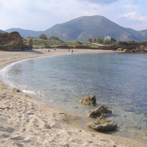 Ampelakia